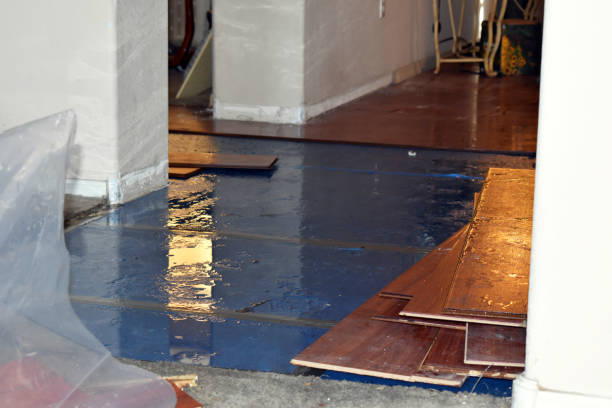 Professional Basement Water Removal technician working in Edwardsville, PA